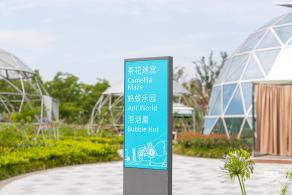 上海之鱼
