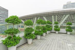 高登公园