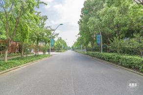 顾村公园