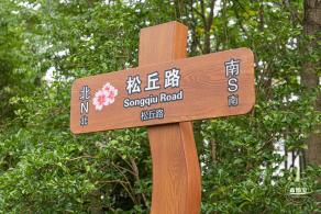 顾村公园