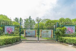 顾村公园