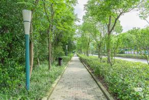 顾村公园