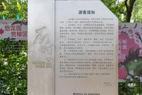 顾村公园