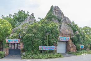 顾村公园