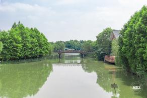 顾村公园