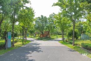 顾村公园