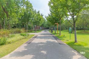 顾村公园