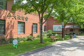 顾村公园