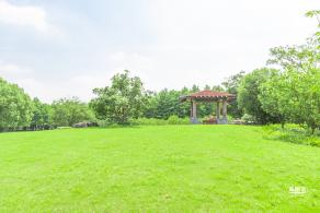顾村公园