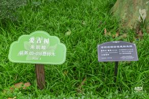 复兴公园