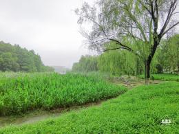 世纪公园