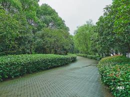 世纪公园