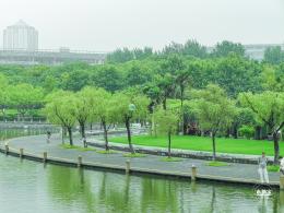 世纪公园