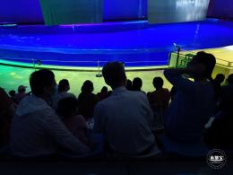 海昌海洋公园