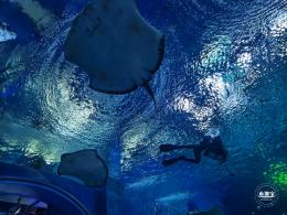 海昌海洋公园