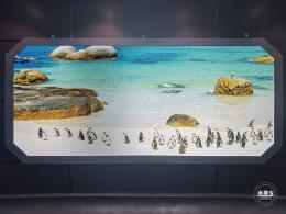 海昌海洋公园