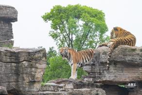 上海野生动物园