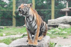 上海野生动物园