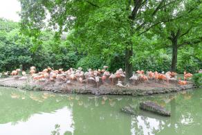 上海野生动物园