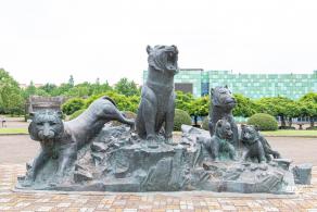 上海野生动物园