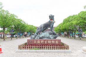 上海野生动物园