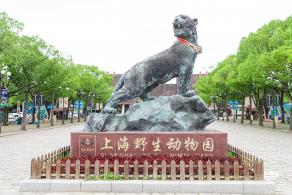 上海野生动物园