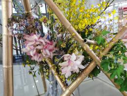上海花展徐汇分会场