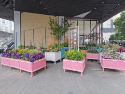 上海花展徐汇分会场