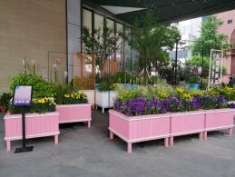 上海花展徐汇分会场