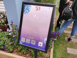 上海花展徐汇分会场