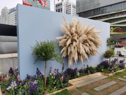 上海花展徐汇分会场