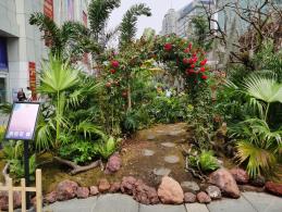 上海花展徐汇分会场