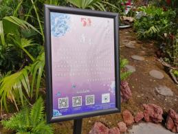 上海花展徐汇分会场