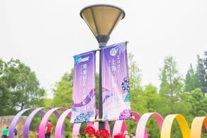 上海花展