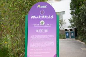 上海花展
