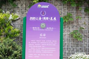 上海花展
