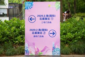 上海花展