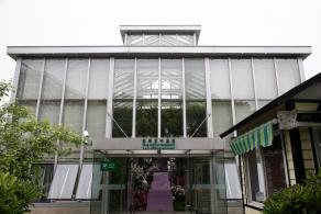 上海花展
