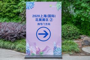 上海花展