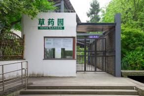 上海花展