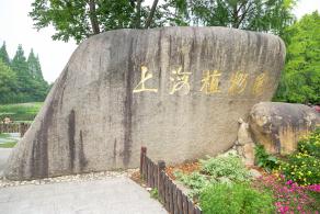 上海花展