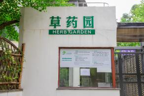 上海花展