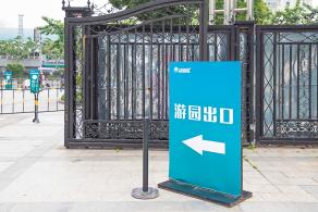 上海花展