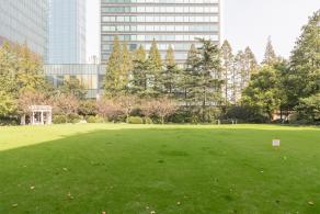 静安公园