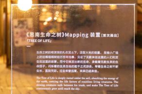 思南路灯光秀