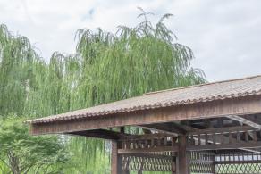 大宁公园