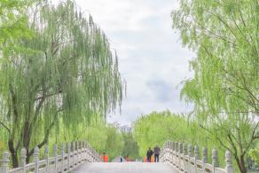 大宁公园