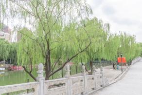 大宁公园