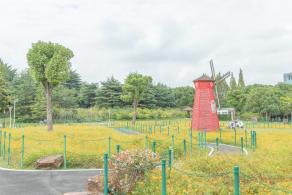 大宁公园