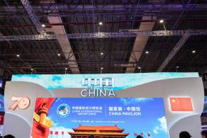 进博会国家展延展